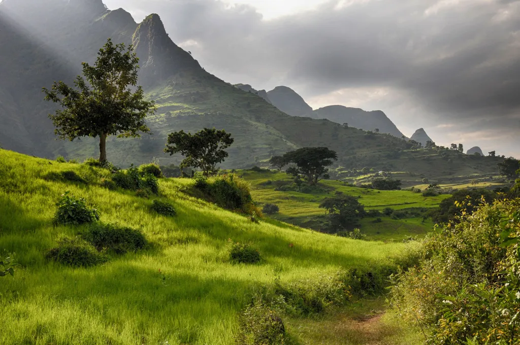 Simien